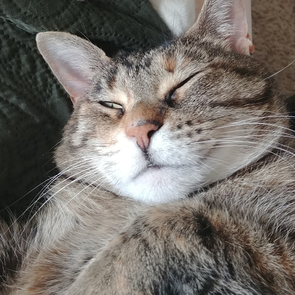 Meet your Posher, Patricia